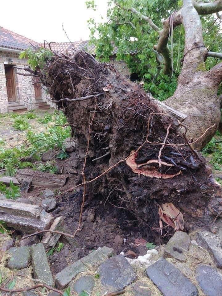 Μεγαλές καταστροφές από τους ισχυρούς ανέμους στο νησί της Λέσβου.