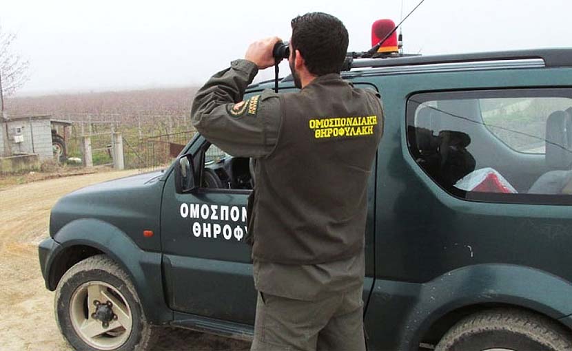 Αλλεπάλληλες συλλήψεις για παράνομο κυνήγι από την Θηροφυλακή της Ε' ΚΟΗ