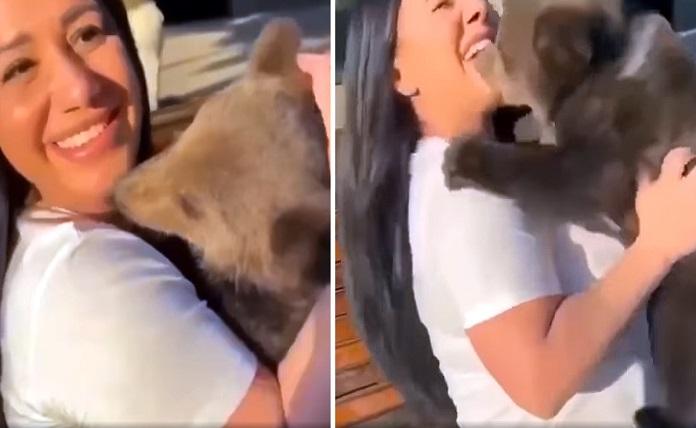 αρκουδάκι δαγκώνει γυναίκα στο πρόσωπο