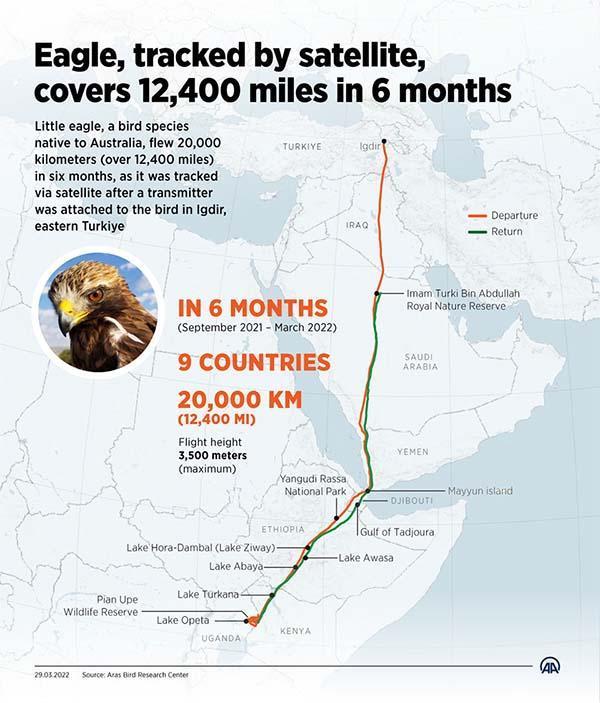 O «μικρός αετός» διασχίζει 20.000 χιλιόμετρα