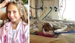 Πούμα επιτέθηκε και τραυμάτισε σοβαρά 9χρονη στις ΗΠΑ