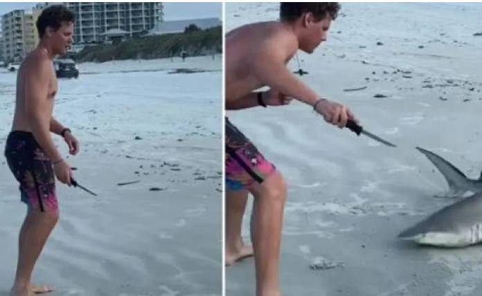 Φλόριντα: Αντιδράσεις για βίντεο που δείχνει δύο άνδρες να σκοτώνουν με μαχαίρι καρχαρία