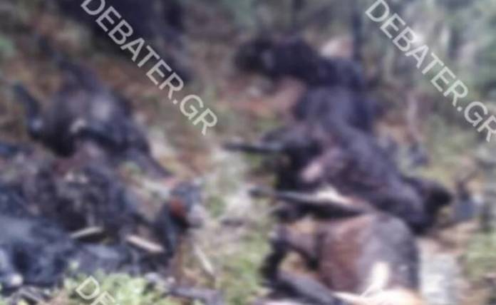 Λοιδορίκι: Κοπάδι 30 γιδιών σκοτώθηκε από κεραυνό - «Από τύχη ζω», λέει ο κτηνοτρόφος
