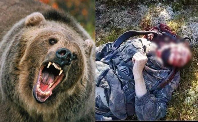 Ρουμανία: Ένας άνδρας σε κρίσιμη κατάσταση μετά από επίθεση αρκούδας