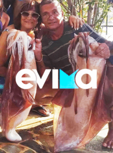 Εύβοια: Η απίστευτη ψαριά - Έπιασαν καλαμάρια 15 κιλών στην Κάρυστο
