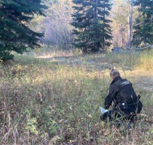 Καναδάς: Αρκούδα επιτέθηκε σε οικογένεια -Τραυμάτισε σοβαρά δύο γυναίκες