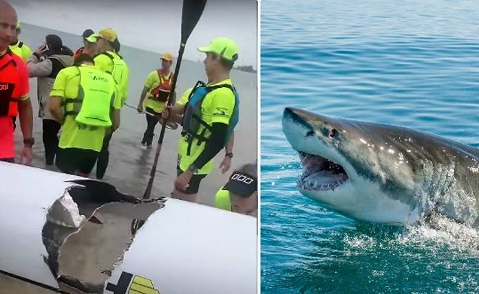Αυστραλία: Επίθεση καρχαρία σε 19χρονο - Δάγκωσε το κανό του και τον «εκτόξευσε» στο νερό