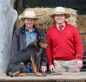 Τσοπανόσκυλο πουλήθηκε 49.000$ σε δημοπρασία - Ποσό ρεκόρ για την Αυστραλία