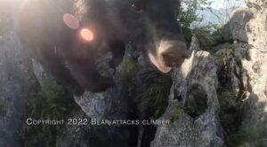 Ιαπωνία: Ορειβάτης μάχεται με αρκούδα που του επιτέθηκε