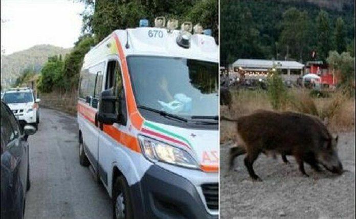Ιταλία: Αγριογούρουνο επιτέθηκε σε 92χρονο μέσα στην αυλή του - Ακρωτηριάστηκε το πόδι του