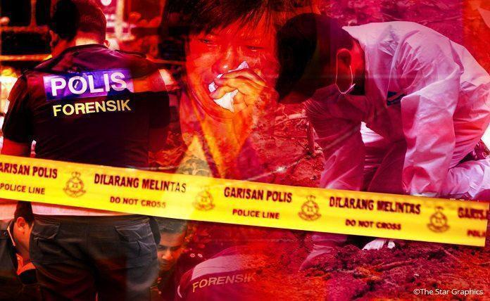 Μαλαισία: Αγριογούρουνο σκότωσε έναν 46χρονο και τραυμάτισε ακόμα δύο άνδρες