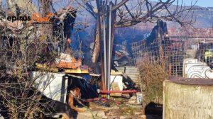 Ιωάννινα: Κυνηγόσκυλα κάηκαν ζωντανά από φωτιά που ξέσπασε στο χώρο - Πέντε κατάφεραν να σώσουν οι Πυροσβέστες