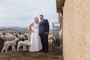 Λαρισαίοι φωτογραφήθηκαν στον γάμο τους μαζί με τις…προβατίνες τους!