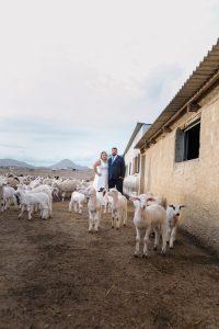 Λαρισαίοι φωτογραφήθηκαν στον γάμο τους μαζί με τις…προβατίνες τους!