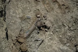 Κρήτη: Eντυπωσιακή ανακάλυψη- Βρήκαν προϊστορικά οστά πάνω από 10 νάνων ιπποπόταμων