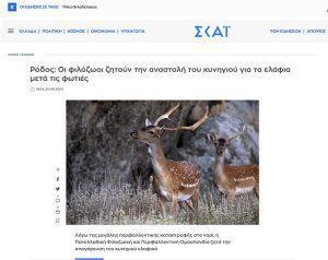Γκάφα ολκής από ΣΚΑΙ: Επικαλείται την αναστολή κυνηγιού του ελαφιού ενώ ήδη απαγορεύεται