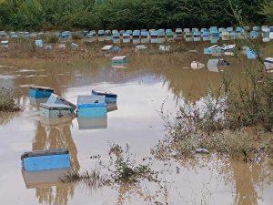 Λάρισα: «Πνιγμένες» στο νερό πάνω από 5.000 κυψέλες