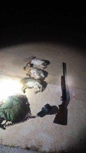 Κρήτη: Σύλληψη για νυχτερινή λαθροθηρία - Θήρευσε 3 λαγούς με χρήση προβολέα
