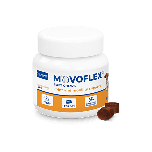 Συμπλήρωμα διατροφής για τις αρθρώσεις του σκύλου - Virbac MOVOFLEX