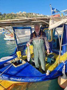 Λαγοκέφαλο γίγας «έβγαλαν» στη Κρήτη - Σε απόγνωση οι ψαράδες