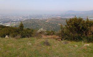 «Πνεύμονας» πρασίνου σε 3.000 στρέμματα με 300.000 δένδρα στη Δυτική Θεσσαλονίκη